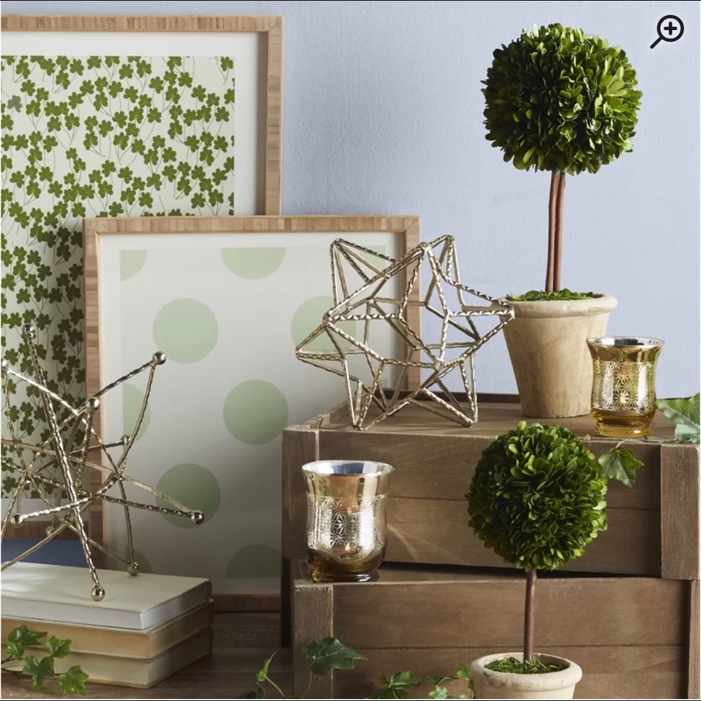 COPY - Single Boxwood Topiary in Pot
by August Grove®